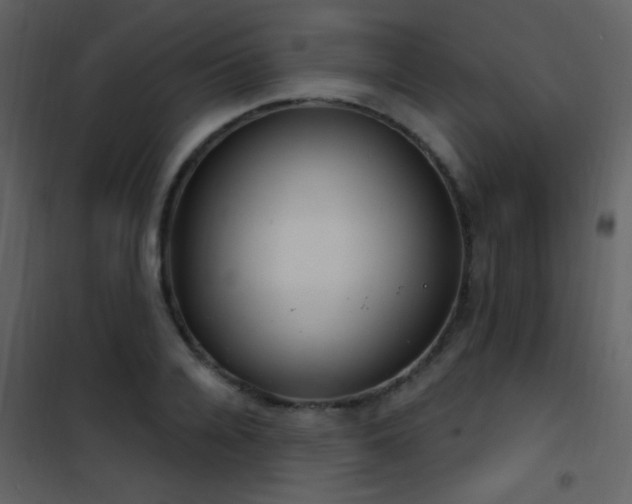 X0000101970936200807181101