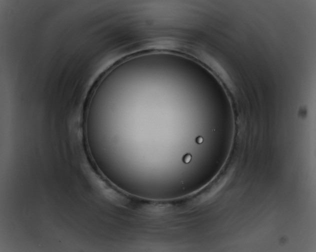 X0000101970939200807181101