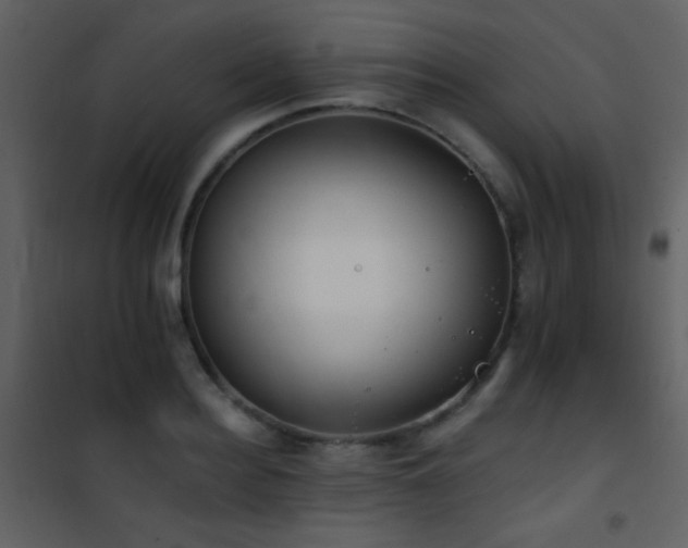 X0000101970940200807181101