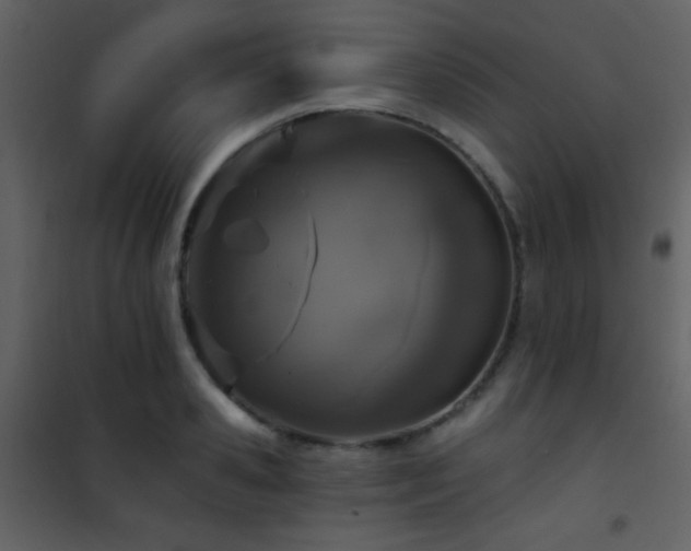 X0000101970941200807181101