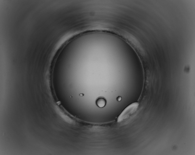 X0000101970942200807181101