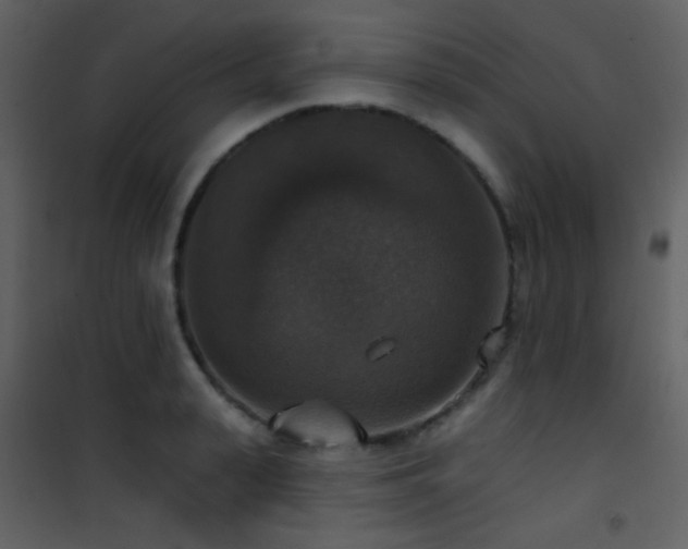 X0000101970943200807181101