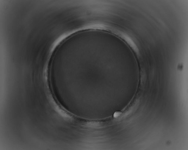 X0000101970944200807181101
