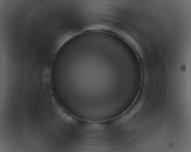 X0000101970945200807181101