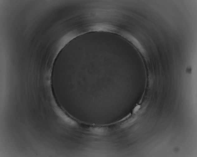 X0000101970946200807181101