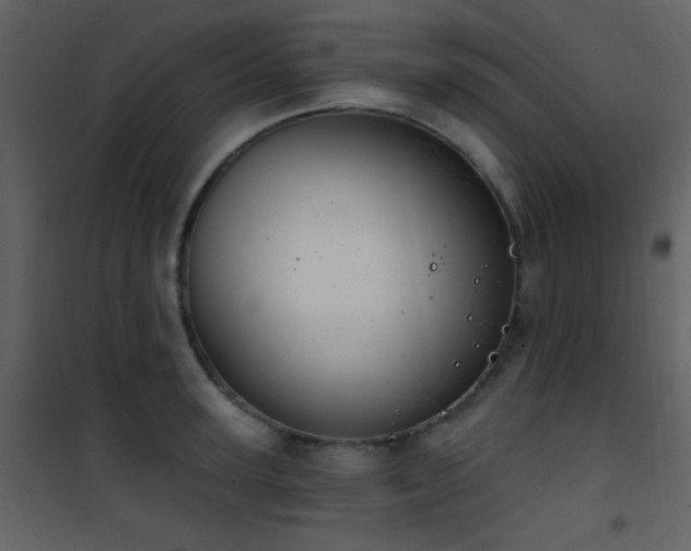 X0000101970947200807181101