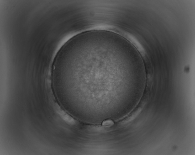 X0000101970948200807181101