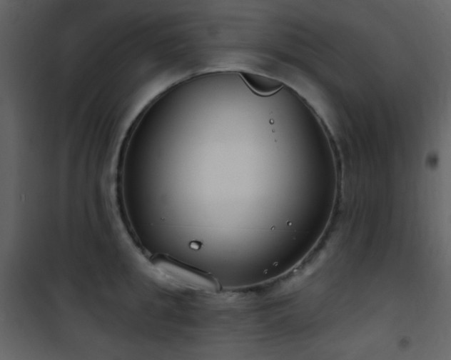 X0000101970949200807181101