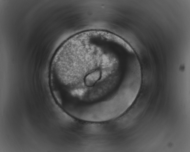 X0000101970950200807181101