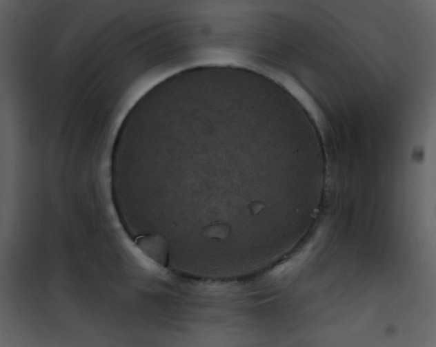 X0000101970951200807181101