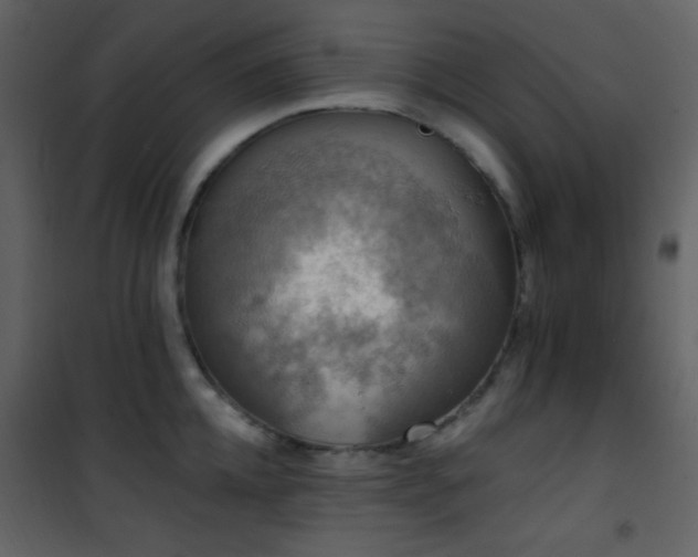 X0000101970952200807181101