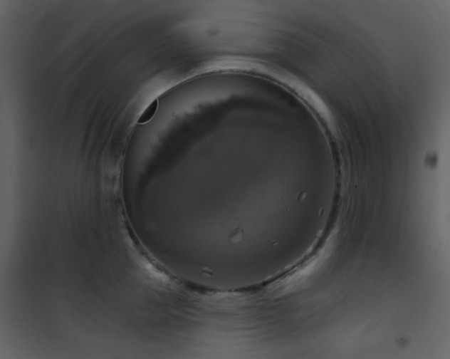 X0000101970953200807181101