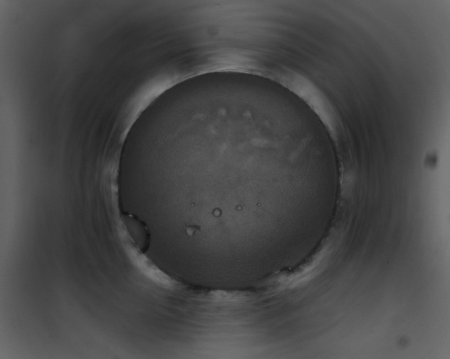 X0000101970954200807181101