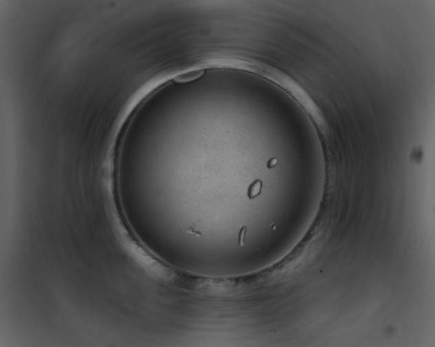 X0000101970955200807181101