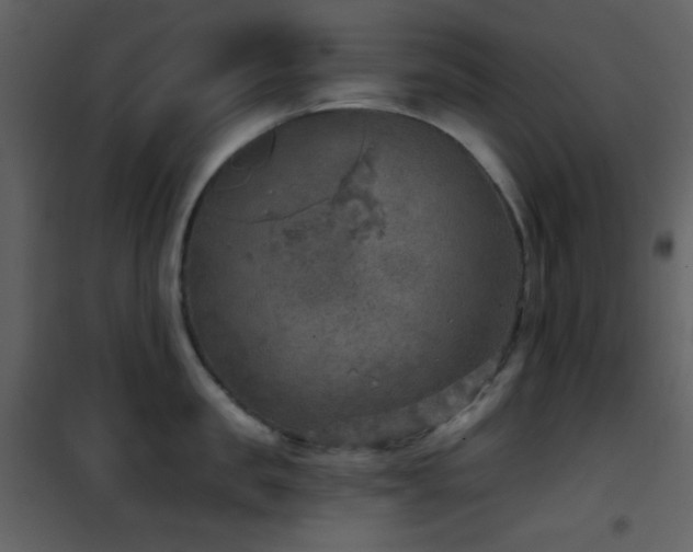 X0000101970957200807181101