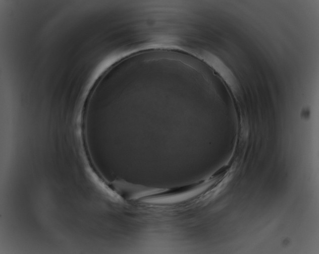 X0000101970958200807181101