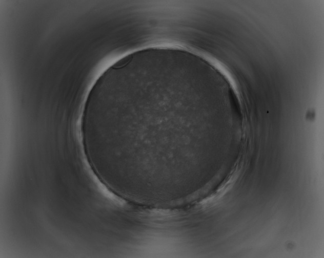 X0000101970959200807181101
