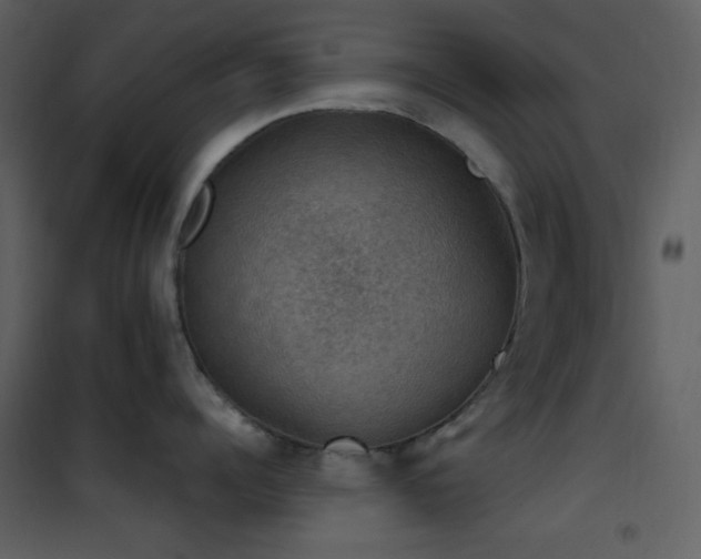X0000101970960200807181101