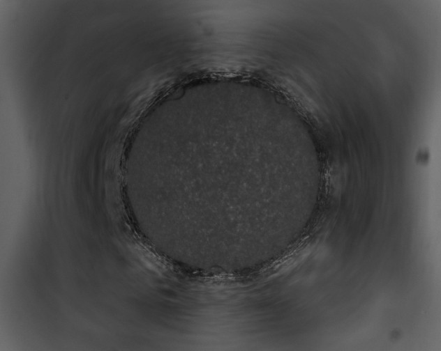 X0000101970961200807181101