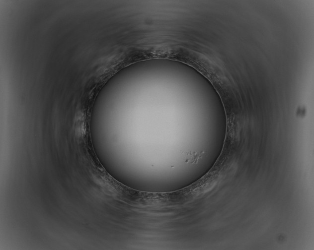 X0000101970962200807181101