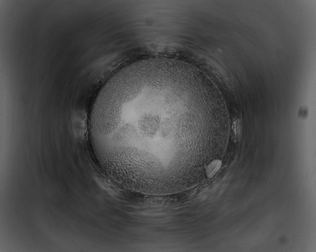 X0000101970963200807181101
