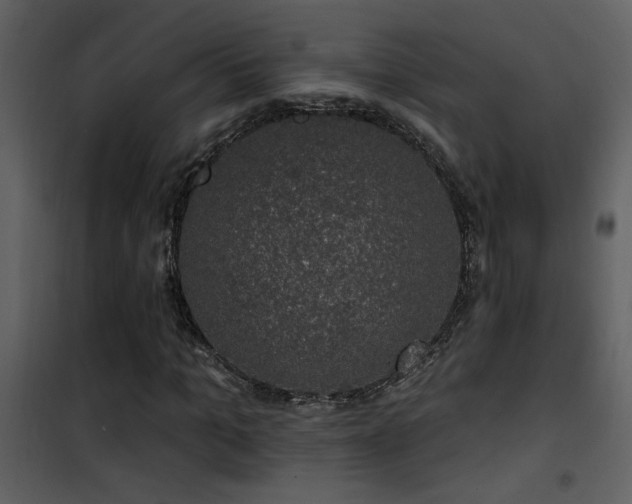 X0000101970965200807181101