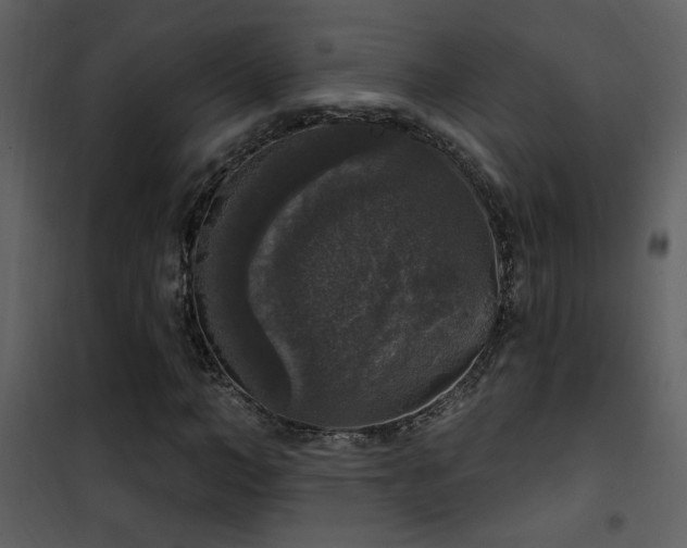 X0000101970966200807181101