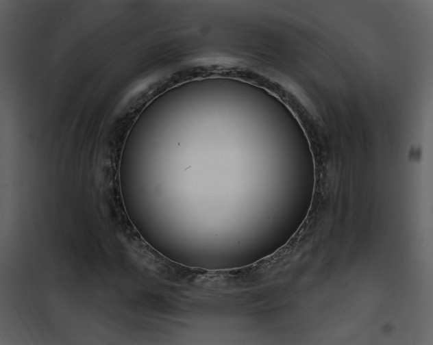 X0000101970967200807181101