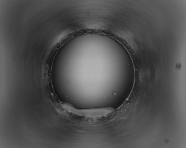 X0000101970968200807181101