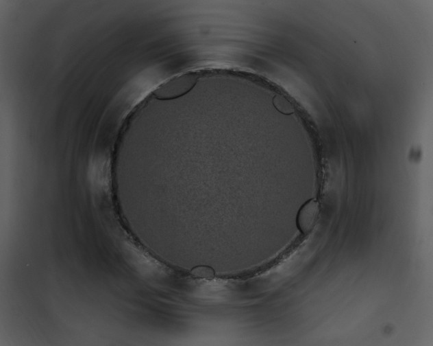 X0000101970969200807181101