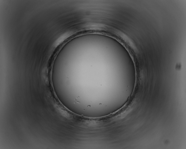X0000101970970200807181101