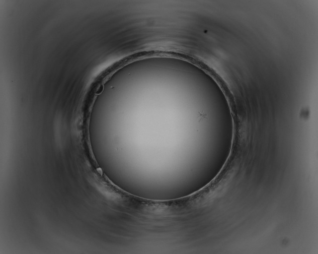X0000101970971200807181100