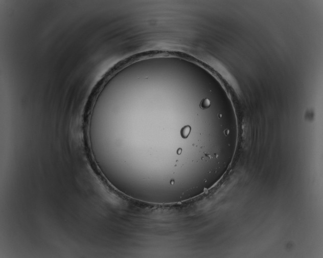 X0000101970972200807181100