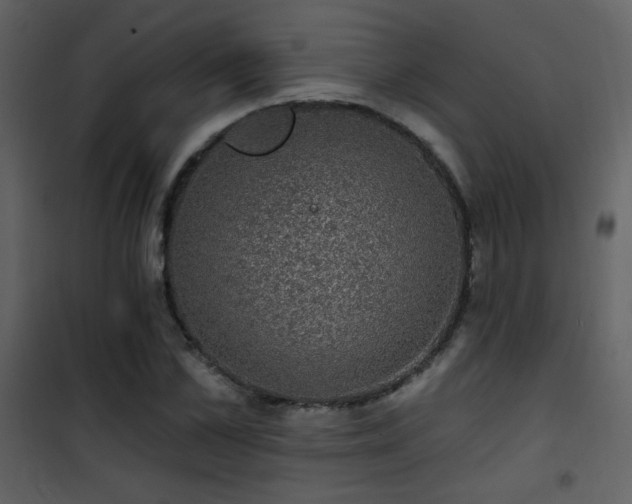 X0000101970973200807181100