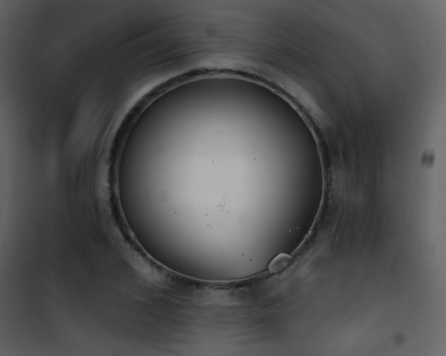 X0000101970976200807181100