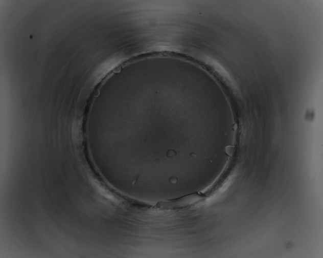 X0000101970977200807181100