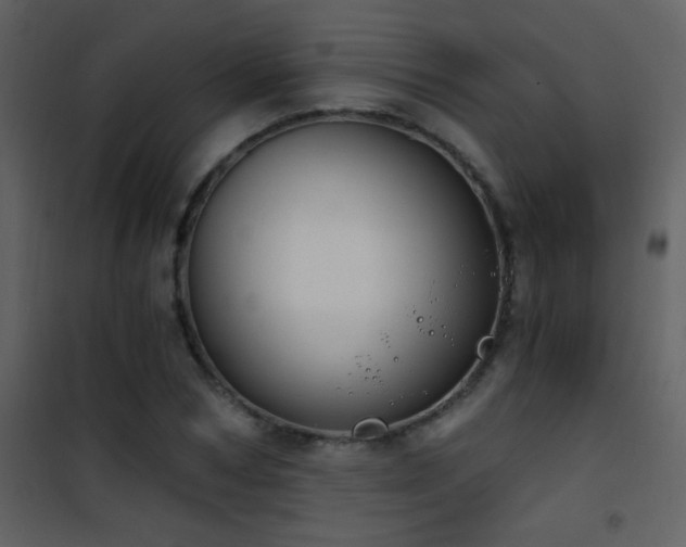 X0000101970978200807181100