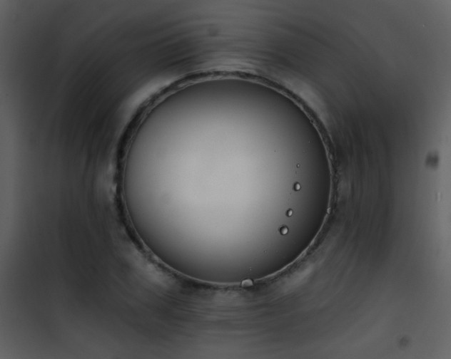 X0000101970979200807181100
