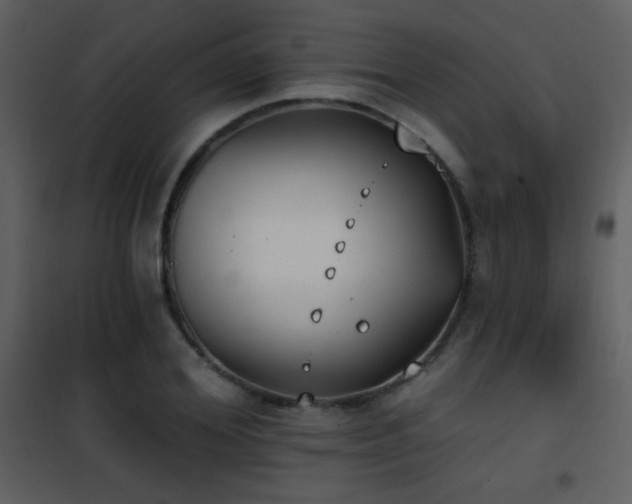 X0000101970980200807181100