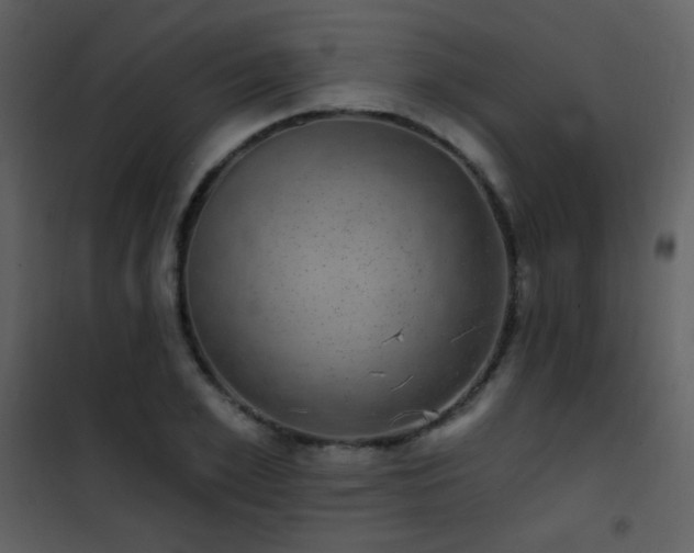 X0000101970981200807181100