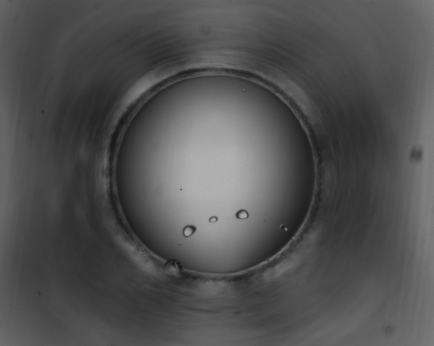 X0000101970982200807181100