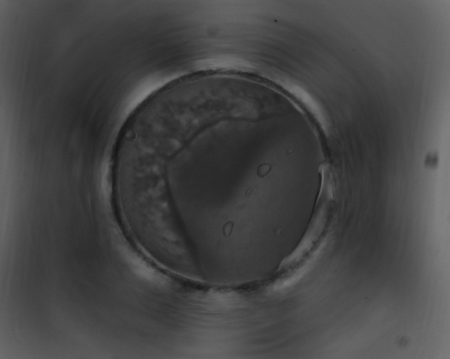 X0000101970983200807181100