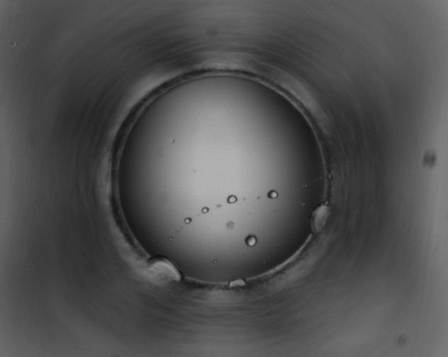 X0000101970984200807181100