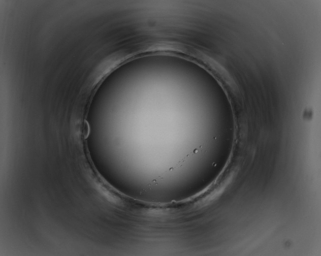 X0000101970985200807181100