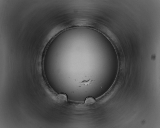 X0000101970986200807181100