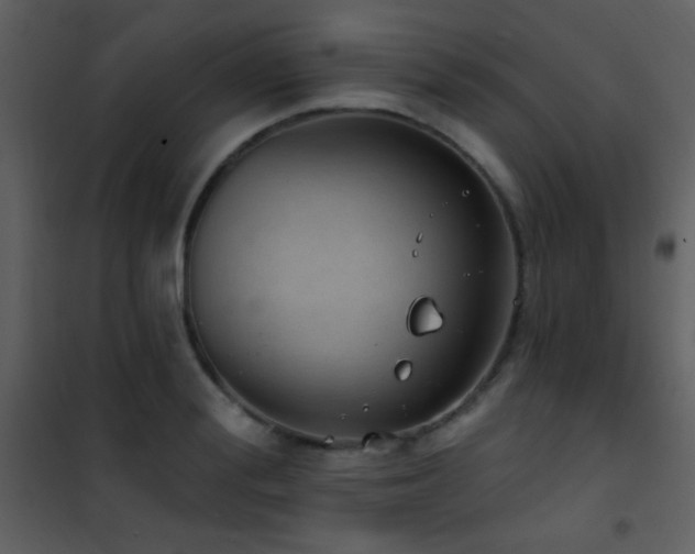 X0000101970988200807181100