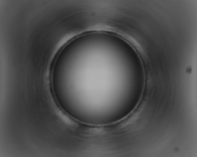 X0000101970990200807181100