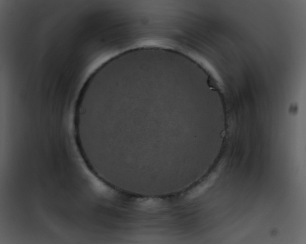 X0000101970991200807181100