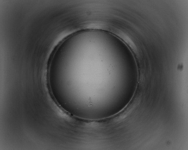 X0000101970992200807181100