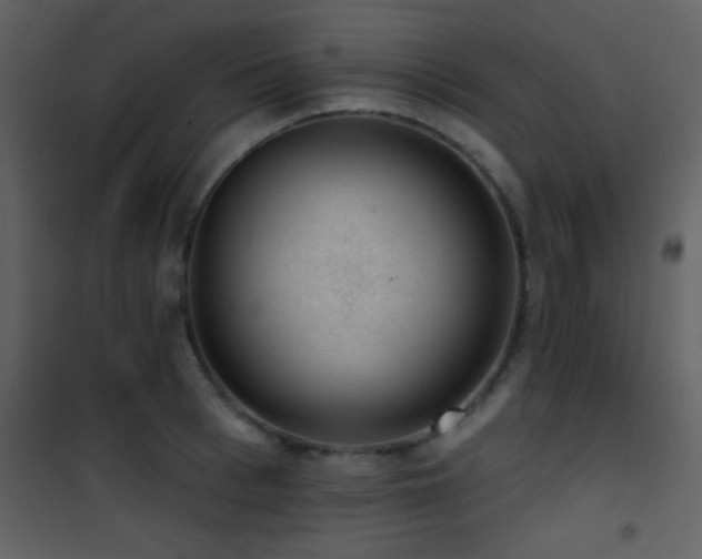 X0000101970993200807181100